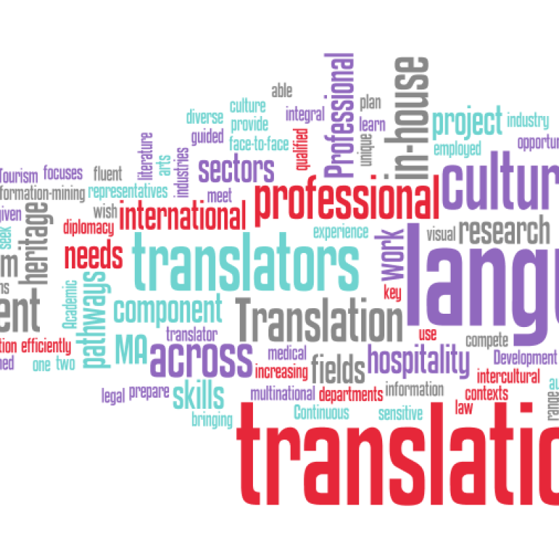 professional translation
