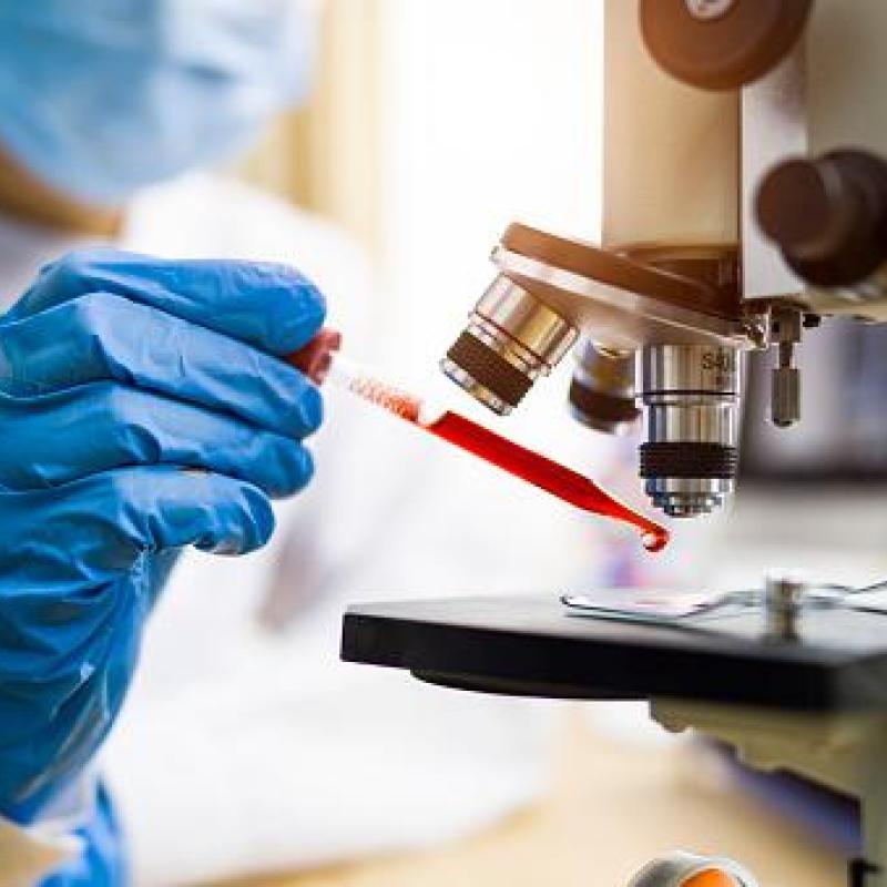 Life Sciences