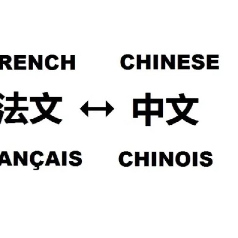 French from or into Chinese Translation